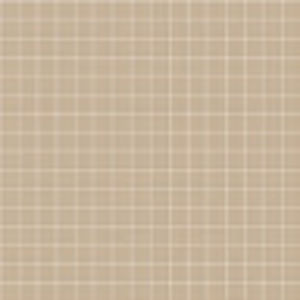 Meet your Posher, Peyton